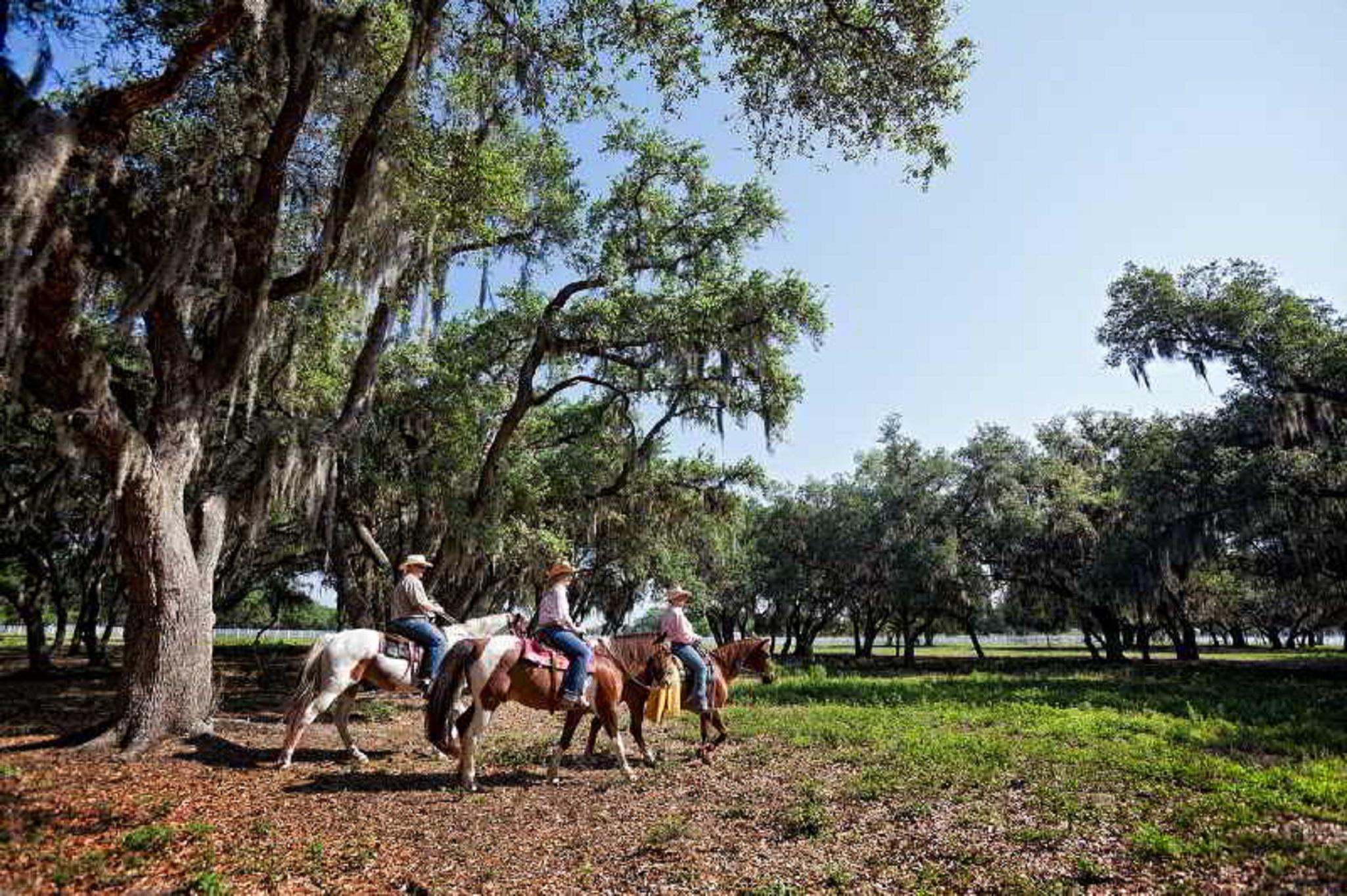 Westgate River Ranch Resort & Rodeo Exterior photo